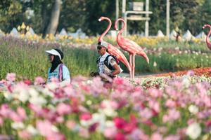 BIB: 
                            <button type="button" onclick="openModal(27344142)" class="btn btn-primary btn-sm float-right btn-popup" data-toggle="modal" data-target=".modal-high-quality">
                        <i class="fas fa-shopping-cart"></i> Add to Cart
                    </button>
                                            <button type="button" onclick="isThisMe(27344142, true)" class="btn btn-success btn-sm float-right btn-popup btn-isme hidden" data-toggle="tooltip" data-placement="bottom" title="นี่คือรูปของคุณใช่ไหม คลิกที่นี่เพื่อเอาเข้าอัลบั้ม">
                        <i class="fas fa-plus"></i> Add to album
                    </button>
                    <button type="button" onclick="isThisMe(27344142, false)" class="btn btn-warning btn-sm float-right btn-popup btn-isnotme hidden">
                        <i class="fas fa-ban"></i> Remove from album
                    </button>